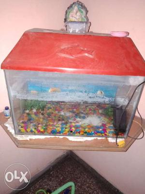 Aquarium with all accessories such as marbles
