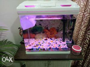 Aquarium with complete accessories. Storage stand