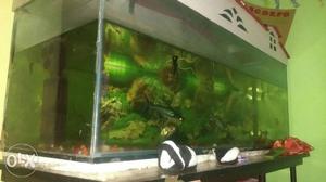Big size aquarium fish tank good looking.