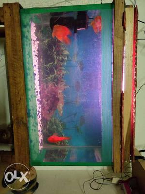 Brown Rectangular Framed Fish Tank