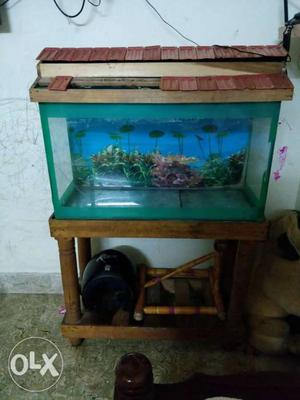Brown Wooden Framed Pet Tank