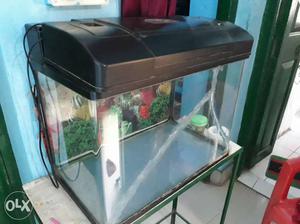 Camrey Chinese aquarium