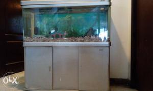 Fish Tank. Four feet tall