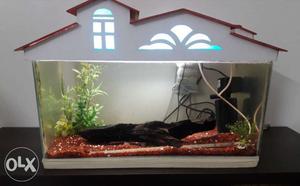 Fish Tank along with cover + sand + filter +