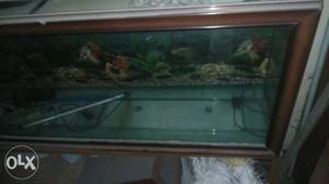 Fish aqurium 5 by 2 foot with all materials good