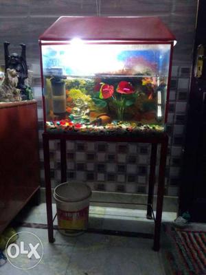 Fish tank, filter, heater, stone with Aquarium