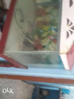 Fish tank for sale intrested people contact