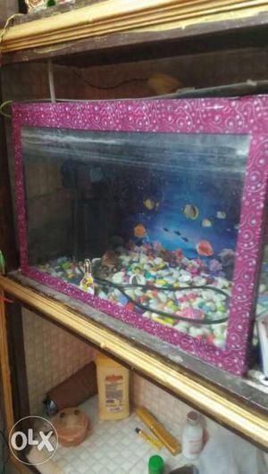 Fish tank new condition