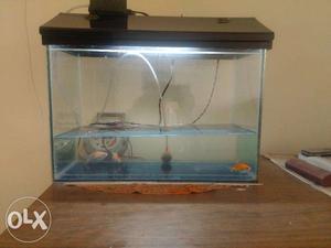 Fish tank with fish and other accessories