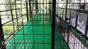 Hi tech strong and worth goat farm cage with