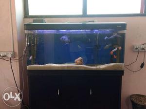 Imported fish tank full set