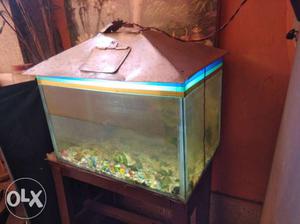 Ready to use aquarium with plastic