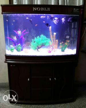 Rectangular Black Framed Clear Fish Tank