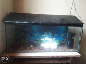 Sell for fish tank