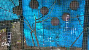 Wooden black cage. Bird cage