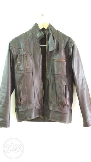 Excellent quality Chocolate Color Original Leather Zip-up