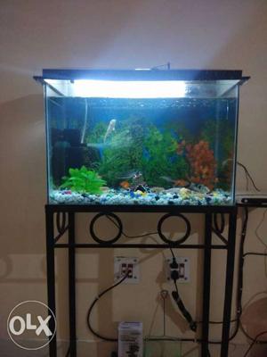 2 Fit fully decorated aquarium with sobo power