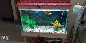 2 and half feet Fish Tank including stand and