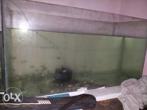 3 Feet Long 1.5 Hight 1.5 Size Fish Tank