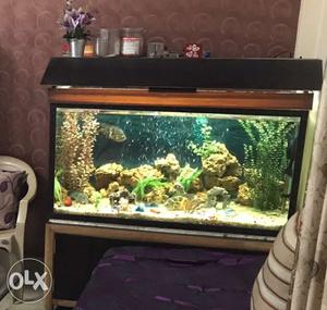 Aquarium for sale