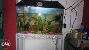 Aquarium in very good condition with LED light