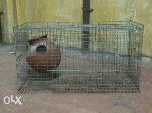 Cage for sale near periyar bus stand... 20 nos