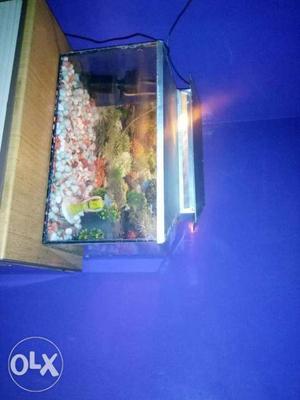 Complete aquarium with new water filter bubbles