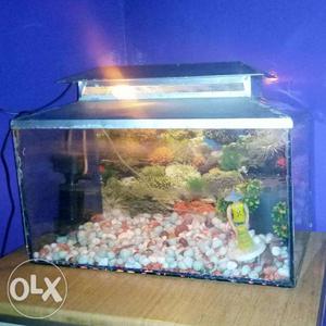 Complete aquarium with new water filter gravels