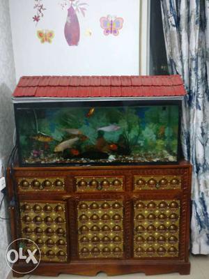 Empty aquarium - Fish tank 3 ft x 1.5 ft x 1 with top