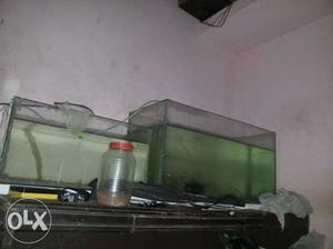 Fish Tank For Sail Big One Is Last Prize 400