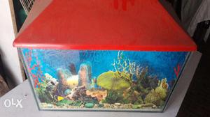 Fish Tank With all Accessories-Rs  only