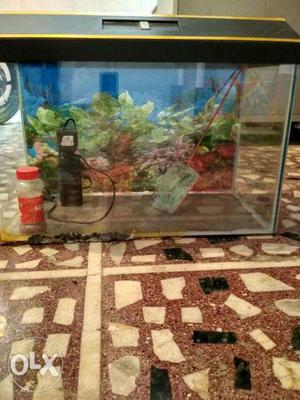 Fish aquarium with motor pump (Best price)