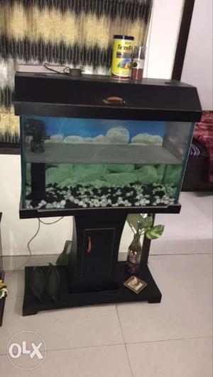 Fish tank without fishes
