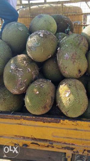 Green Jackfruits