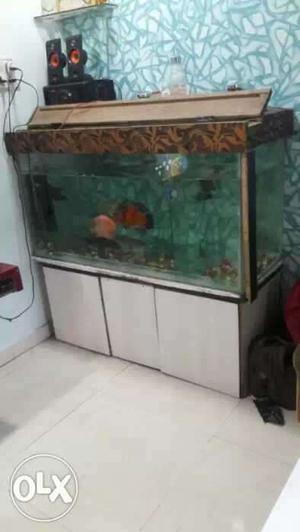 Large aquarium for sale with all expensive fishes