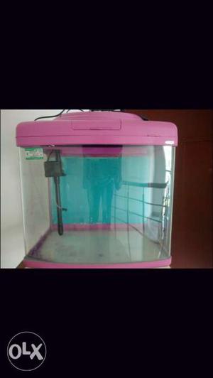 Mj fish tank with filter