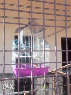 Only Cage for sale..no birds