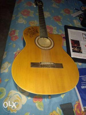 Pluto Cutaway Acoustic Guitar