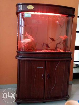 Rectangular Brown-framed Fish Tank