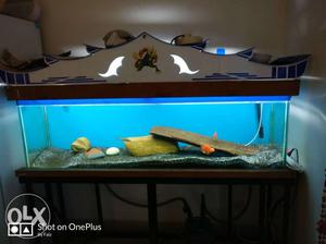Rectangular Clear Fish Tank With Brown Wooden Frame