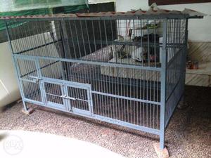 Strong multi purpose Dog Cage near Angamaly