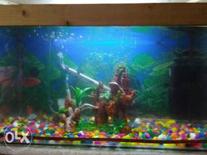  inches fish tank with wooden