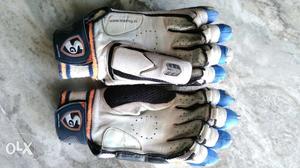 SG VS 319 Ultimate Cricket Batting Gloves with complete