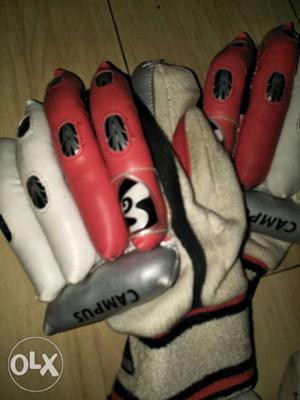SG campus right hand batting gloves. one year old