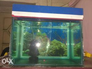 1 foot aquarium for sell at a very low price with