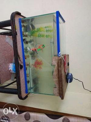 1day used Aquriam tank and 9fishes light oxygen