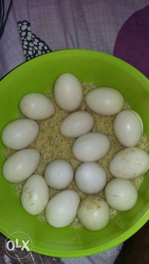 20 rupees per egg six45