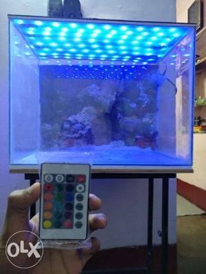 2/1½ feet aquarium with all accessories fixed