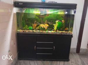 4Feet Moulded Aquarium With Fish