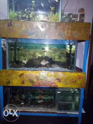 All types of aquarium and fish accessories available